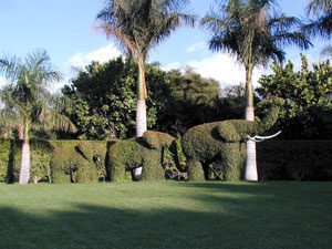 Ferienhaus Teneriffa