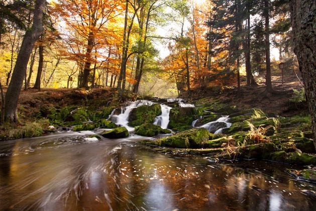 Ferienhaus Harz West