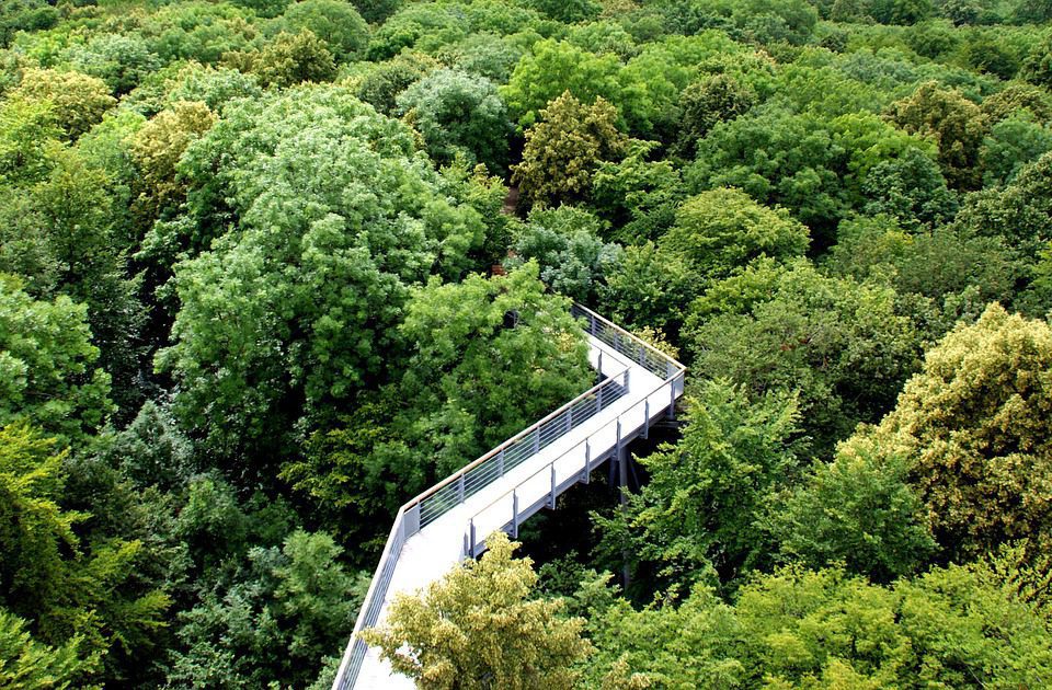 Ferienhaus Th�ringen