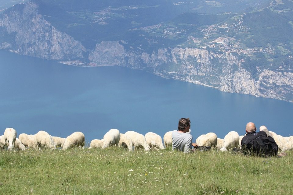 Ferienhaus Gardasee