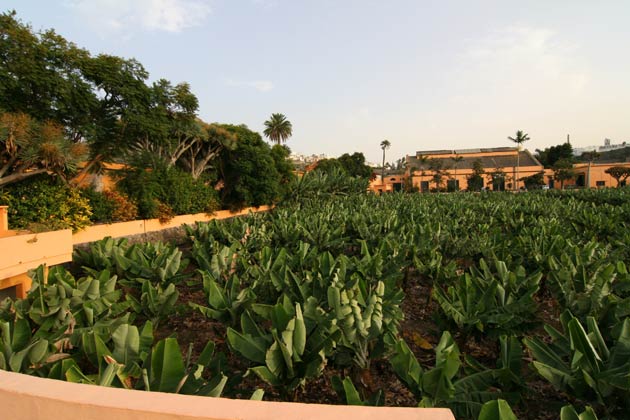 Ferienhaus Arucas