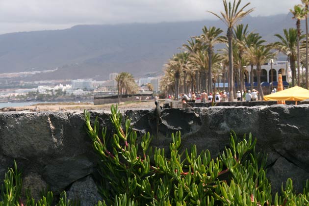 Ferienhaus Los Realejos